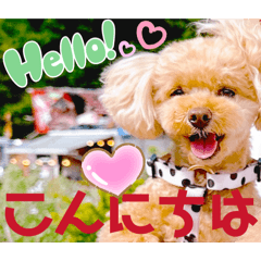 Mochioba_20260509220750