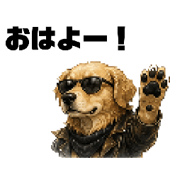 Ringo_20260509222849