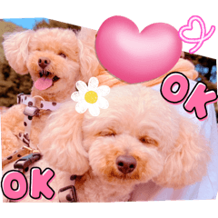 Mochioba_20260509235146