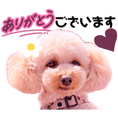 Mochioba_20260510090342