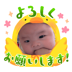 nagisa_20260507152022