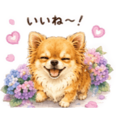 okaka_20260507150716