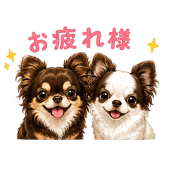 COCO_20260507152123