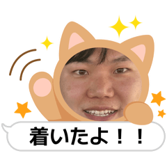 wao_20260507151332