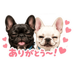 COCO_20260507151949