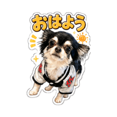 kazu_20260507152923