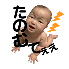 dodo_20260501180338