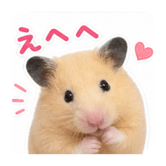 hamster stamp honey