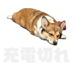 yu_20260507165200