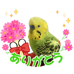 marumo_20260507165518
