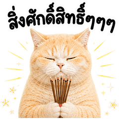 ❤️ส้มส้ม ตัวตึง❤️