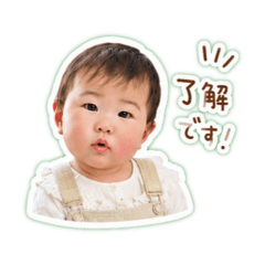 JIJI_20260507155151