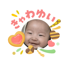 lei_20260507155544