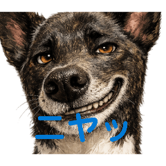 junhakuhi_20260507155912