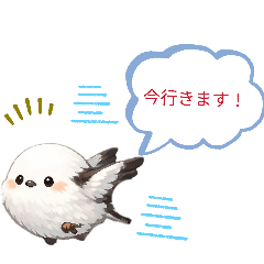 yuurin_20260507155602
