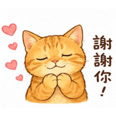 我家Wendy喵