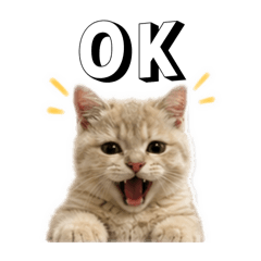 happy小公主