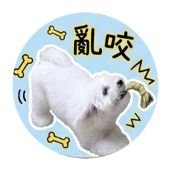 努努狗