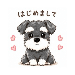 OBAMI_20260507161706