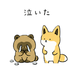 kumakosan_20260507171716