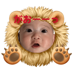 maria kong_20260507173011