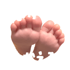 sis_20260507173403