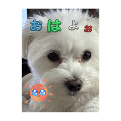 leo_20260901-20260610