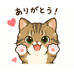 111nekodayo