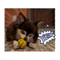 choco_20260509164815