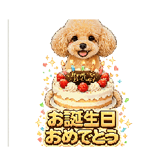fujiyan8_20260509234216