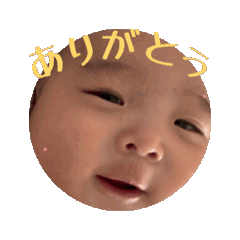 N.family_20260509140505
