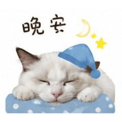 年小糕第二彈