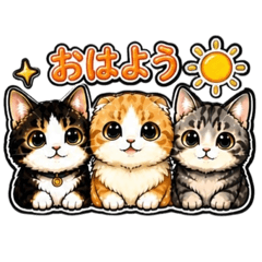 Ayumama_20260507180426