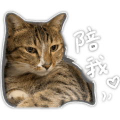 十七～