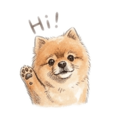 阿迪狗的日常ʕ •ᴥ•ʔ
