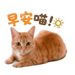 萌萌的萌