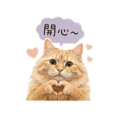 菠蘿貝貝喵生活篇