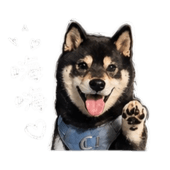 妞寶の生活