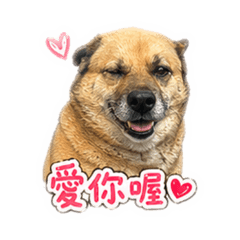 來福貼圖