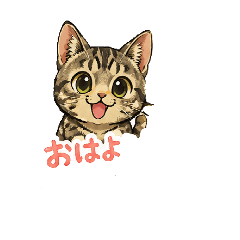 Tama_20260507165722