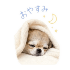 kinori_20260507171514