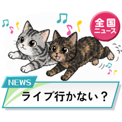 Blue Tabby Cat_20260507184719