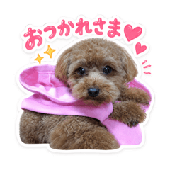 yuyr_20260507184526