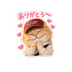 vegako1_20260507184730