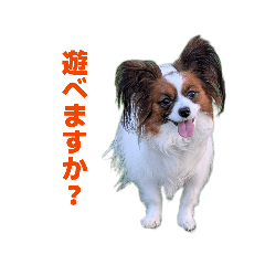 rion_20260507184736