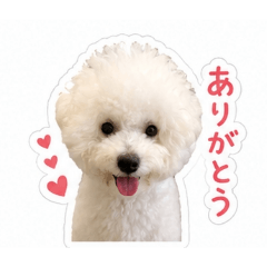 気分屋でふ