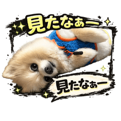 mofu mofu_20260507185308