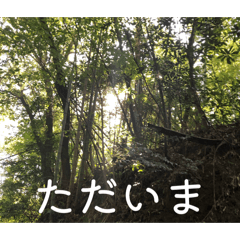 Aruto_20260507185800