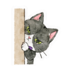 Tuxedo Cat Stickers: Everyday Edition