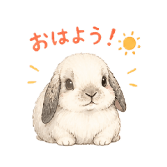 komugi_20260507173826